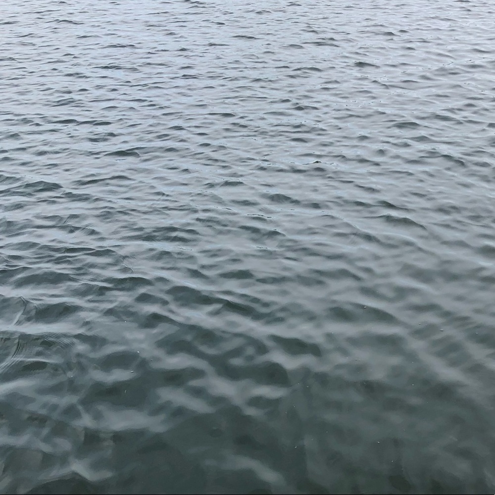 Meet your Posher, Katelyn